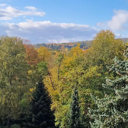 Luxurioese Maisonette Mit Whirlpool Und Weitblick Im Kurviertel Von Bad Salzuflen